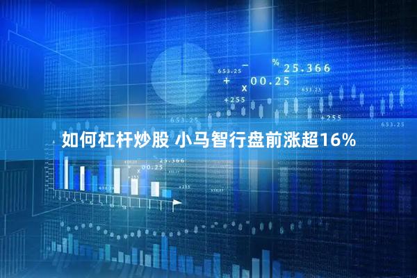 如何杠杆炒股 小马智行盘前涨超16%