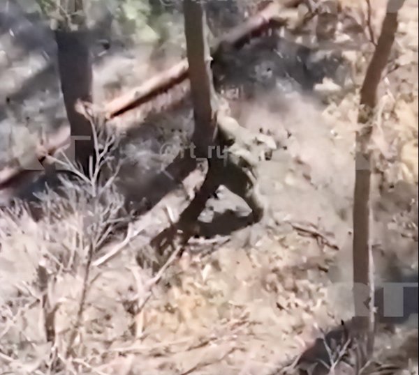 股票配资最新报价 画面曝光！俄士兵徒手抓住乌军无人机并当场拍毁