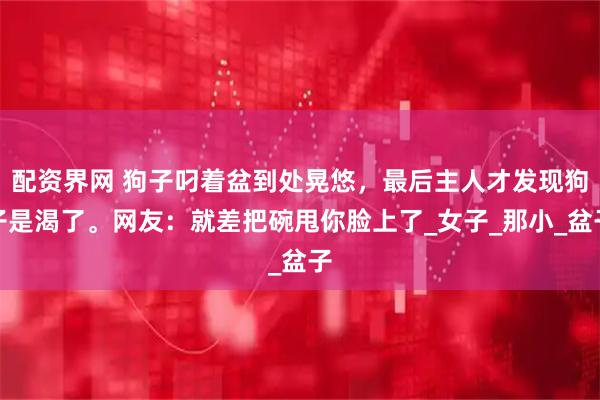 配资界网 狗子叼着盆到处晃悠，最后主人才发现狗子是渴了。网友：就差把碗甩你脸上了_女子_那小_盆子