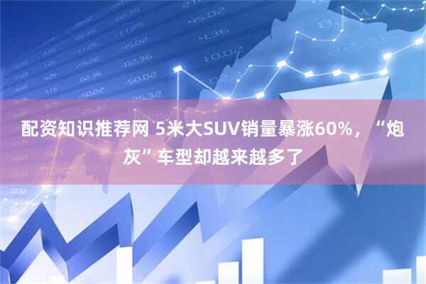 配资知识推荐网 5米大SUV销量暴涨60%，“炮灰”车型却越来越多了